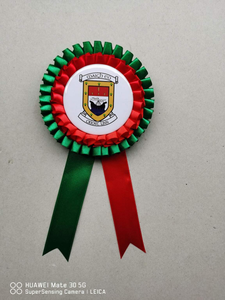 Mayo GAA Ribbon Rosette.