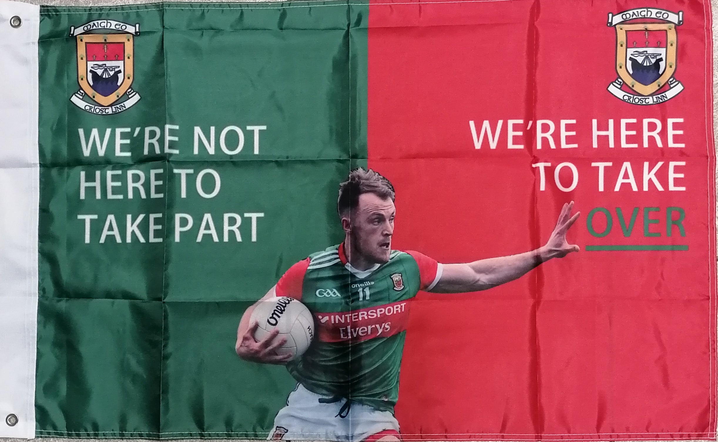 Darren McHale Mayo flag