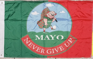 mayo flag never give up